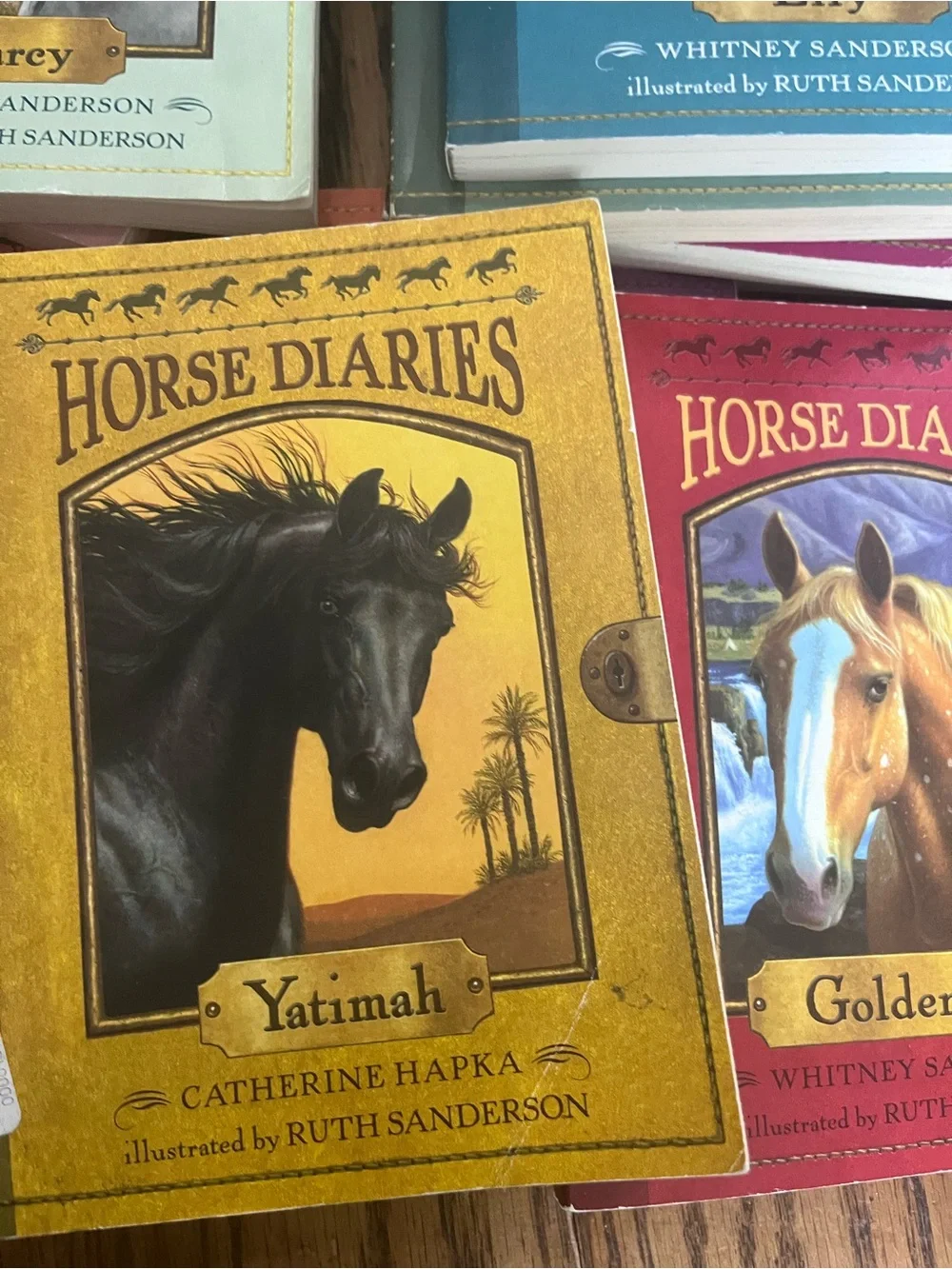 Horse Classic Multicolor Horse Diaries Decorative Book Set - Whitney Sanderson